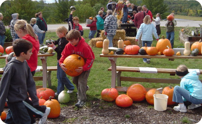 kids picking pumpkins