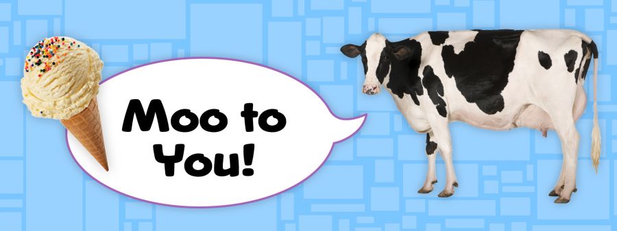 Moo to You banner