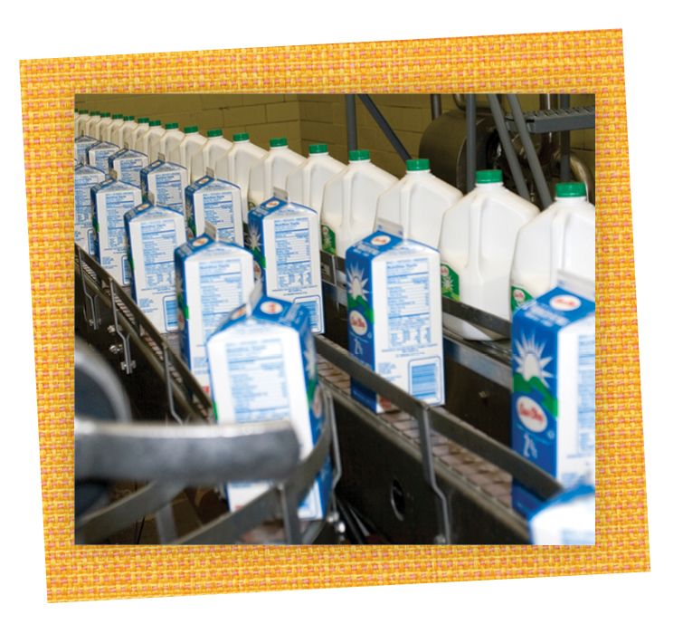 milk cartons and jugs