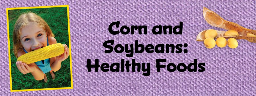 corn soy healthy foods