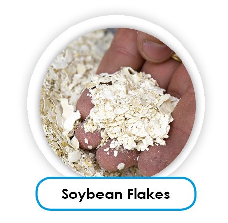 soybean flakes