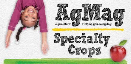 AgMag specialty crop button