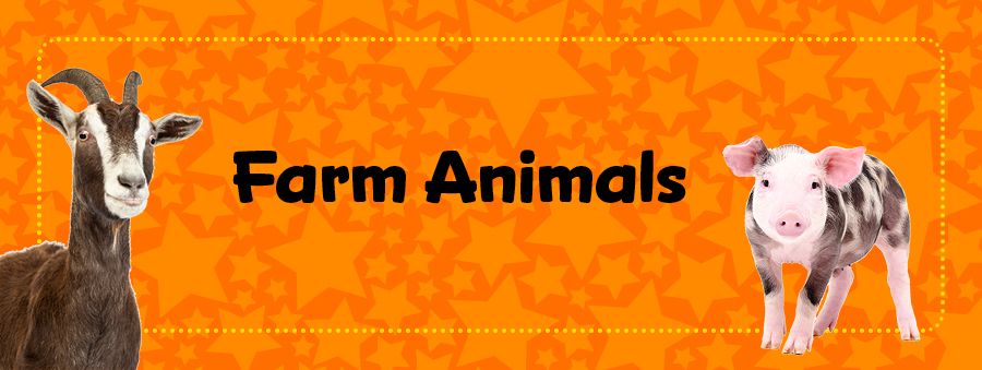 farm animals -header