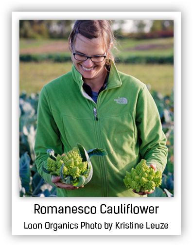 romanesco cauliflower