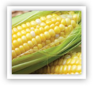 corn growers
