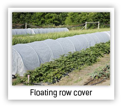 floating row cover