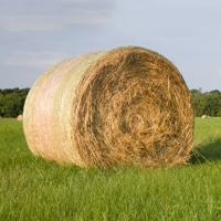 round hay bale