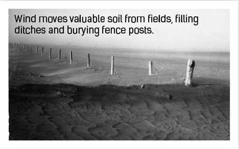 wind move valuable soil