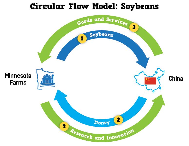 circular flow model - soybeans