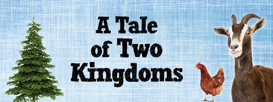 a tale of two kingdoms header