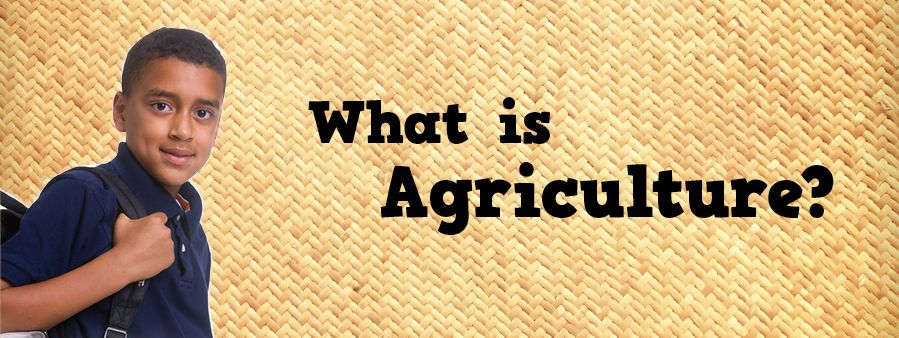 what is agriculture header