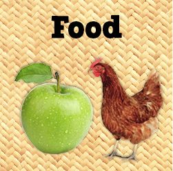 food - chicken and apple