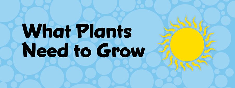 what plants need to grow header