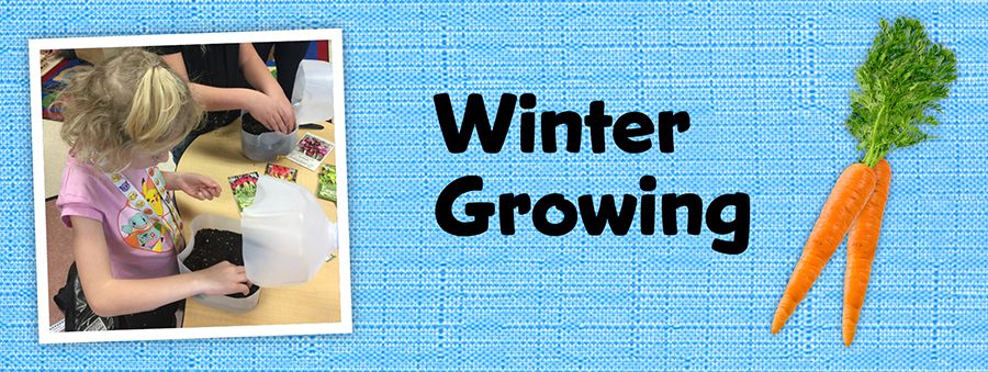 winter growing banner