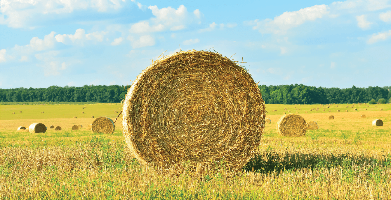 Round Bale in Rural Field