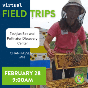 Virtual Field Trip to Tashjian Bee and Pollinator Discovery Center