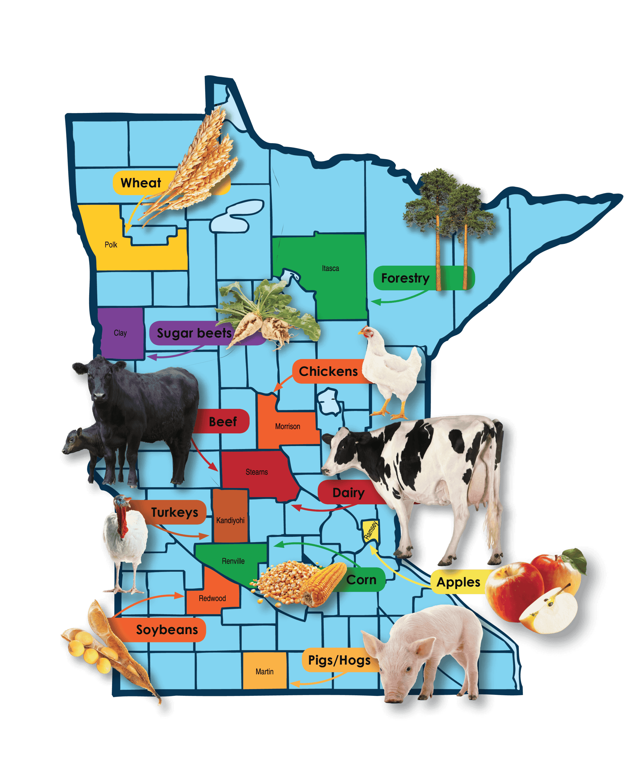 Minnesota County Ag Map