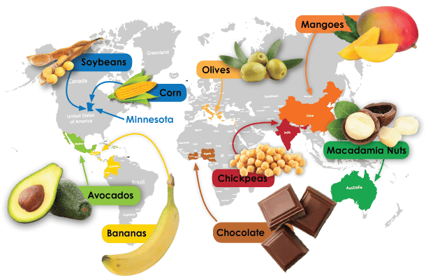 World Map of Foods