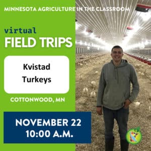 Virtual Field Trip to Kvistad Turkeys