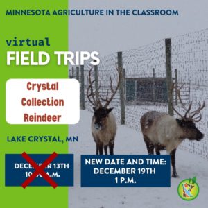 Virutal Field Trip to Crystal Collection Reindeer