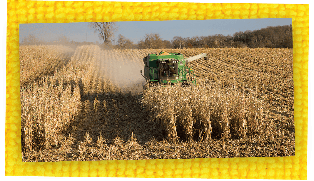 John Deere Combining Corn