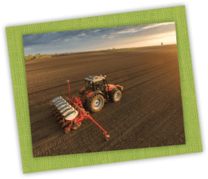 Tractor Planting
