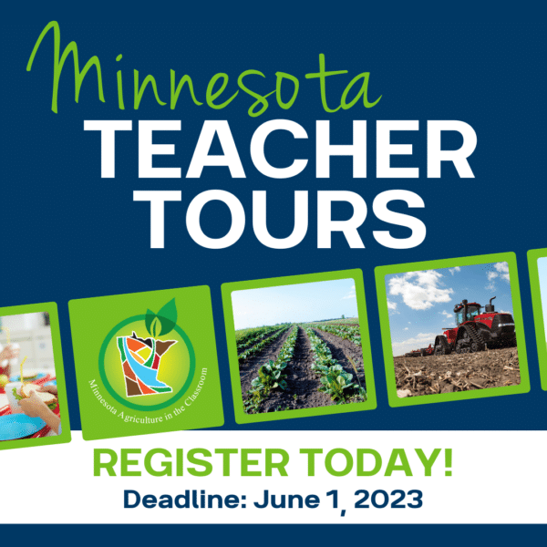 teacher travel opportunities summer 2024