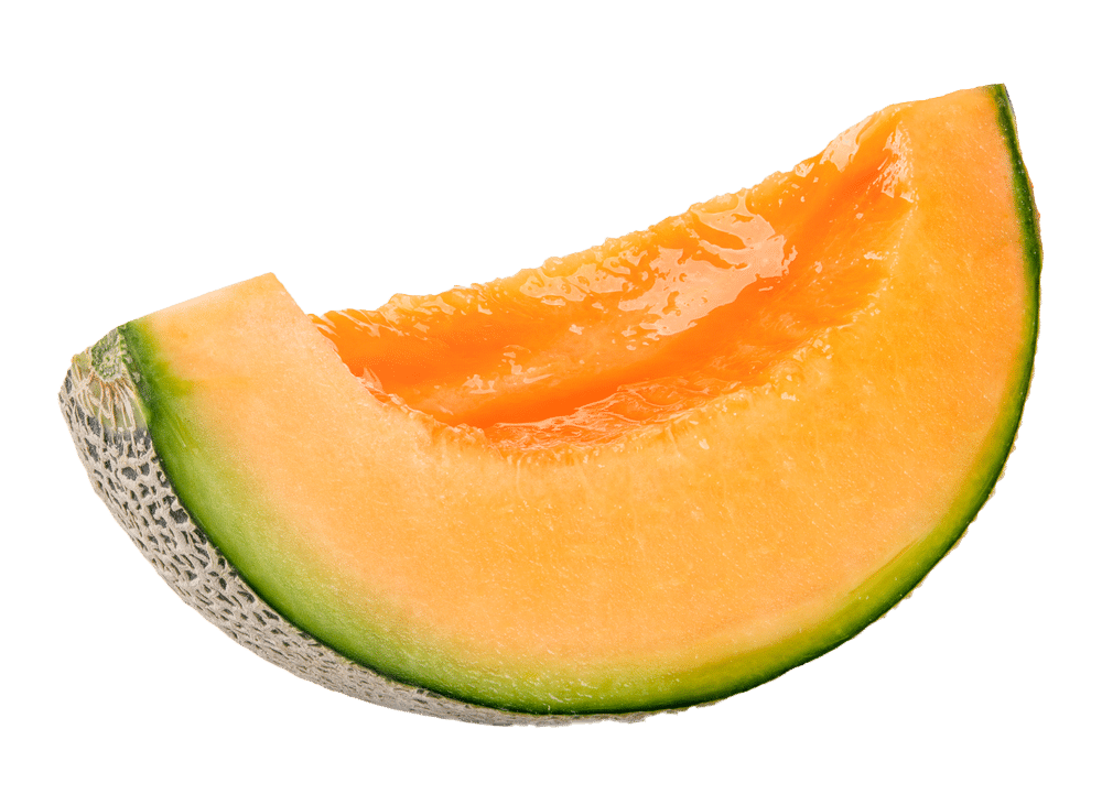 Fresh Cut Cantaloupe