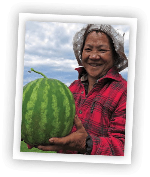 woman holding watermelon