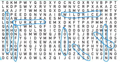 Word Find