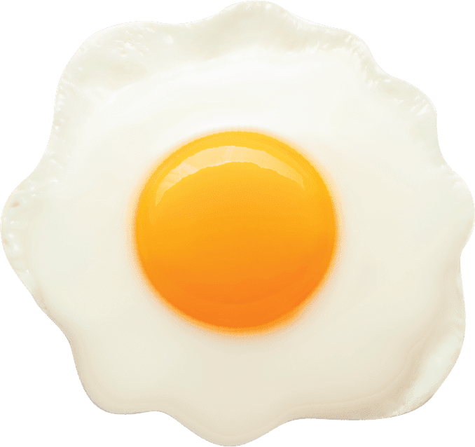 Egg