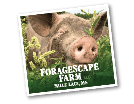 Foragescape Farm Pig