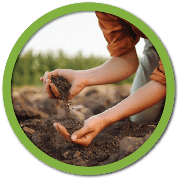 Soil in Hands