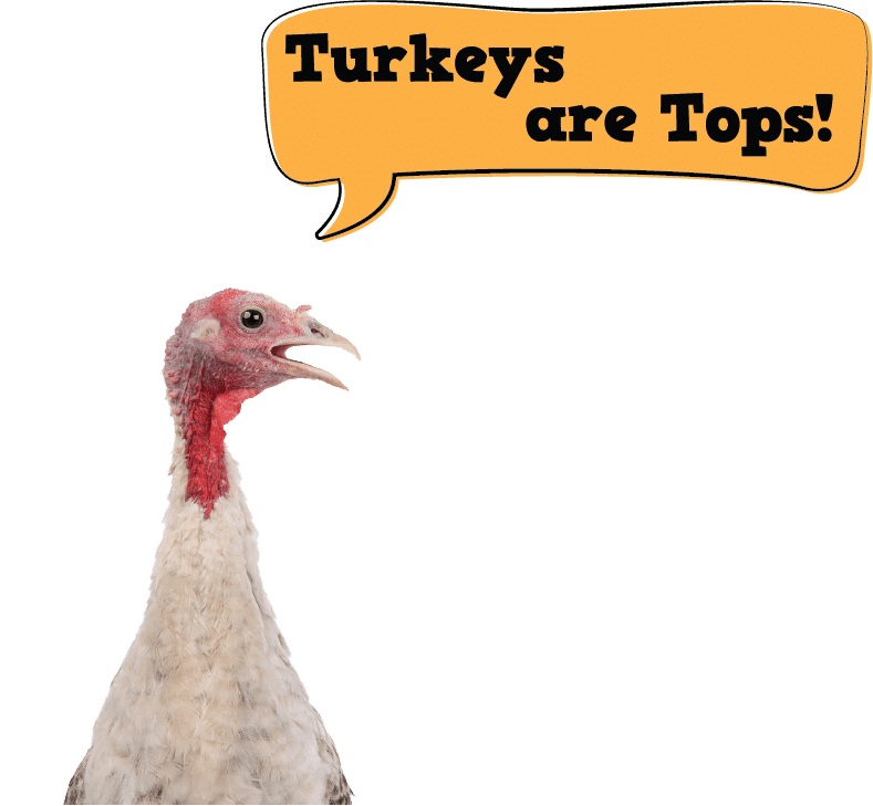 Turkeys are Tops