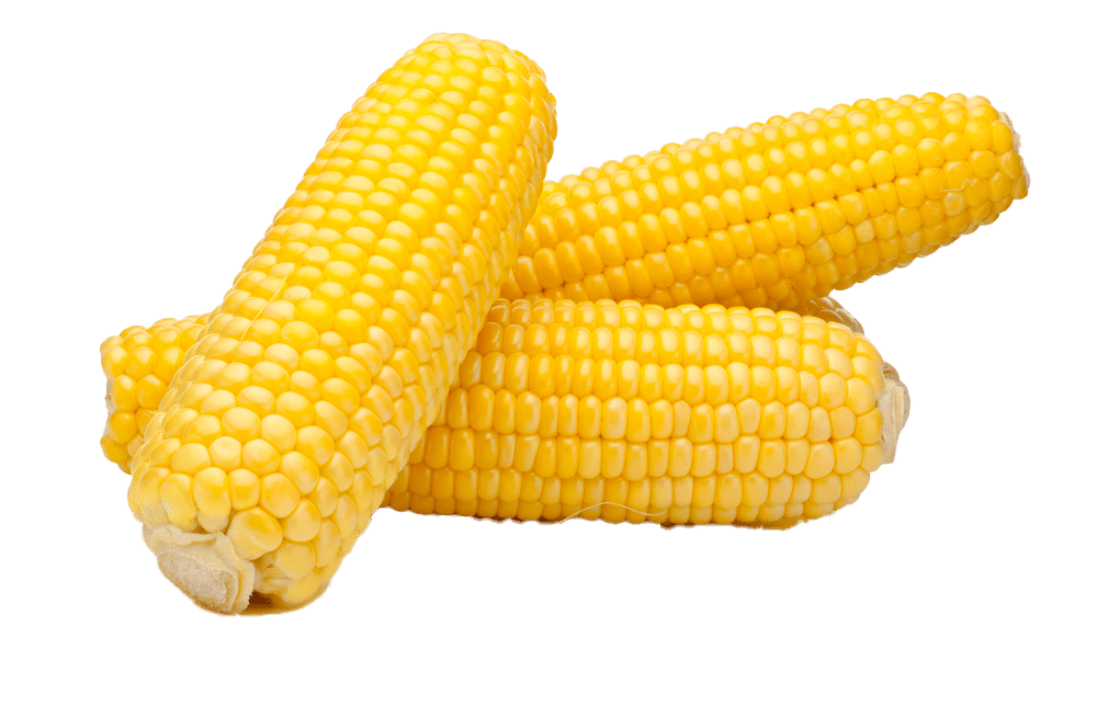 sweet corn