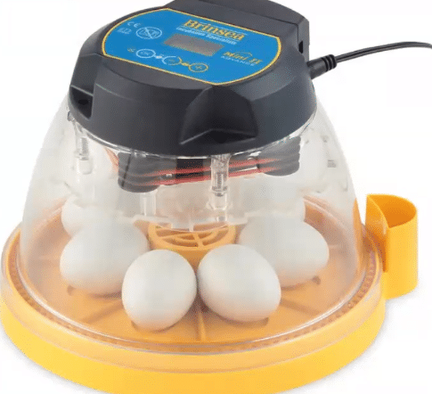 Brinsea Mini II Incubator