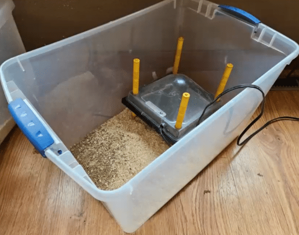 A plastic bin transformed into a chick brooder with bedding and a heat pad