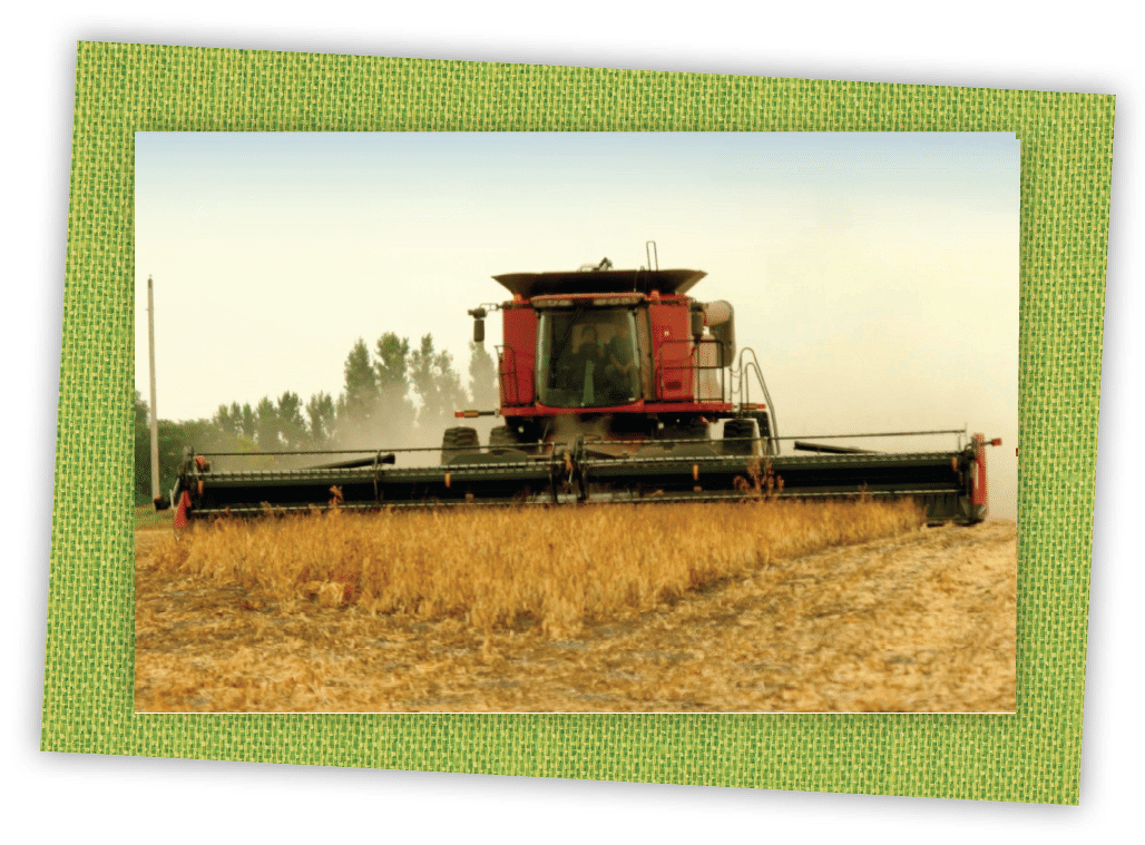 tractor in harvesting green frame