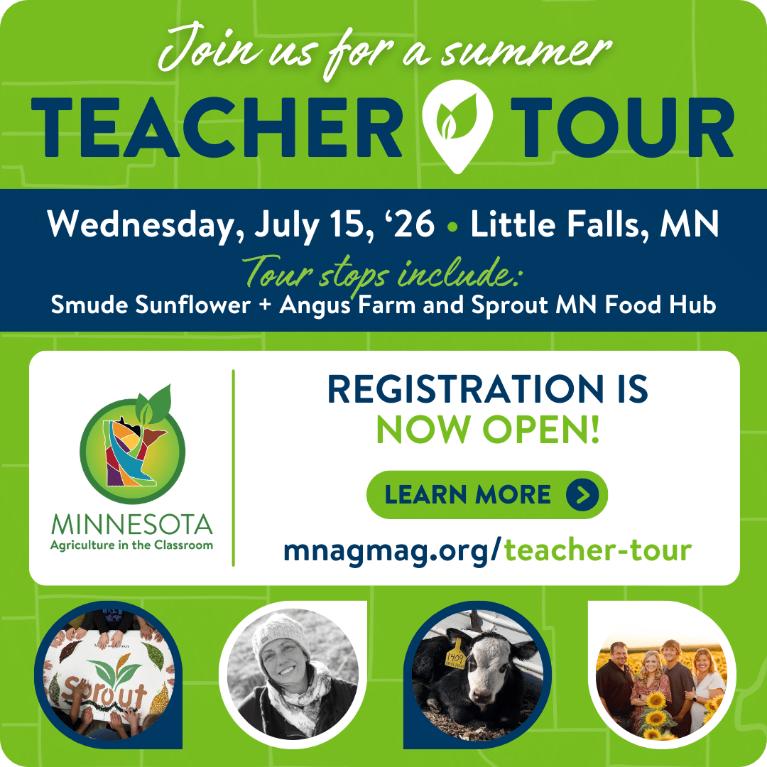 central mn teacher tour