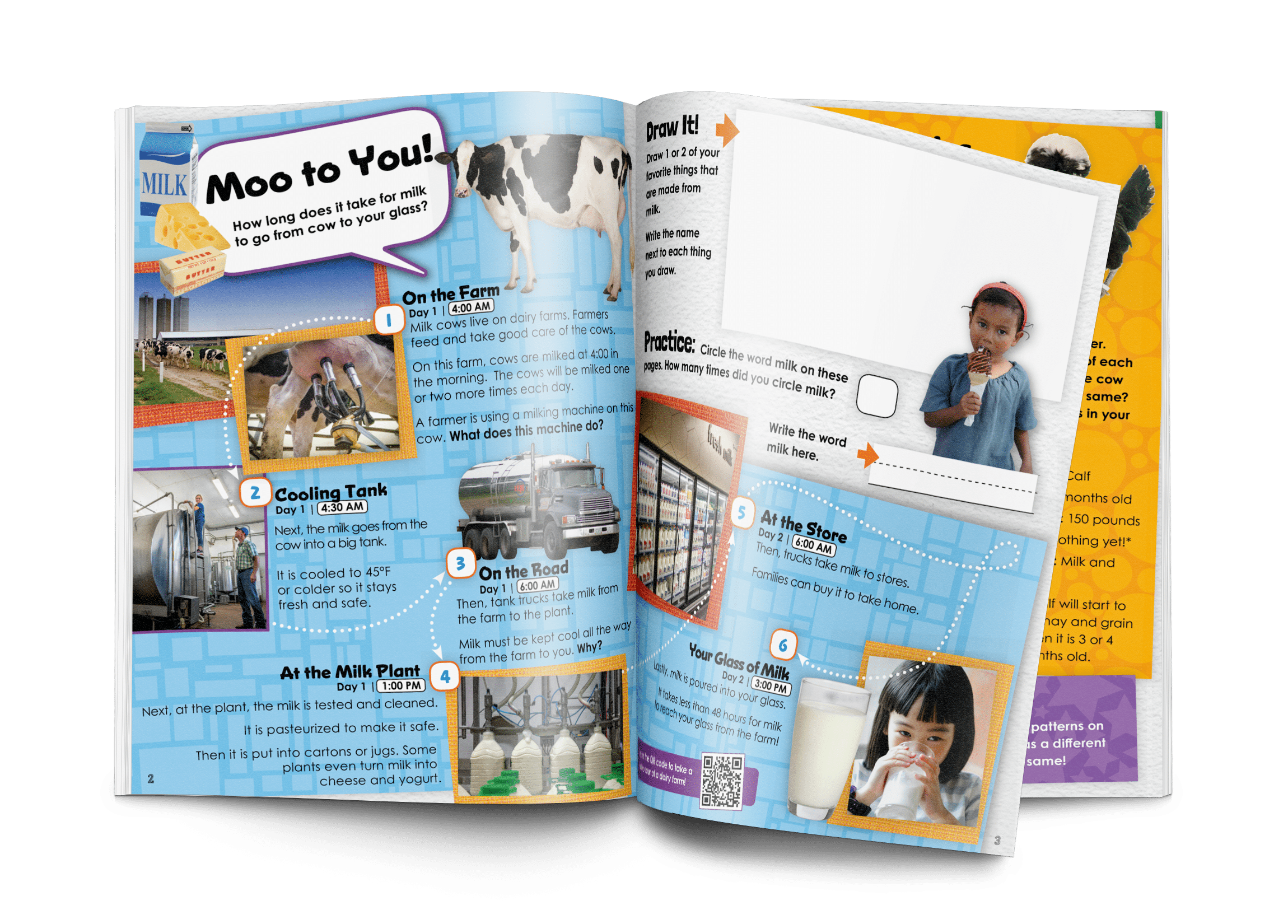 Magazine spread of dairy activity