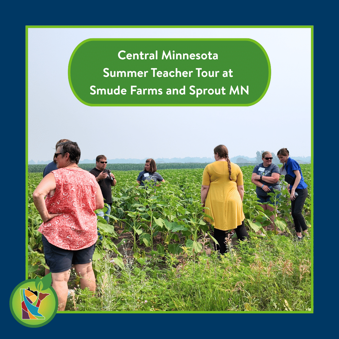 Four people stand on the edge of a field, two people stand among the growing plants