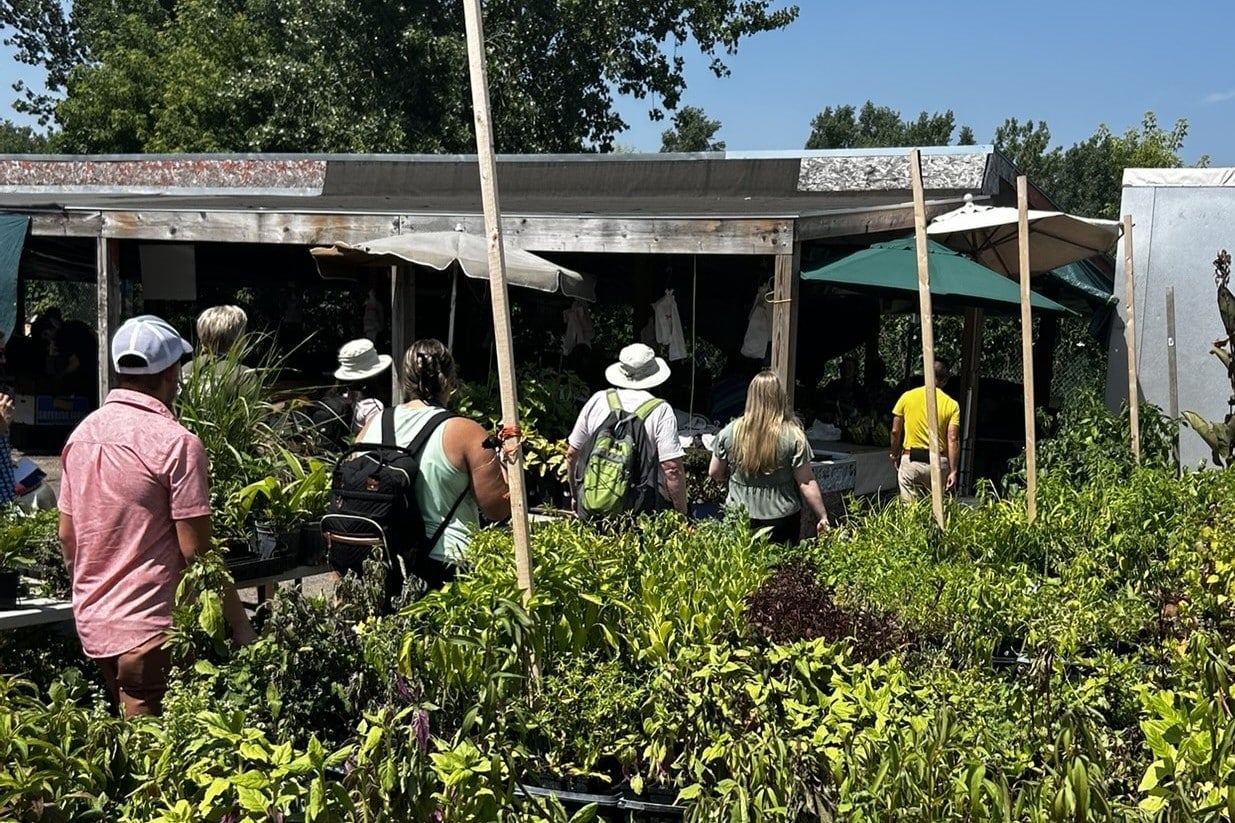 People walking in a line through an outdoor marketplace with tables of small plants