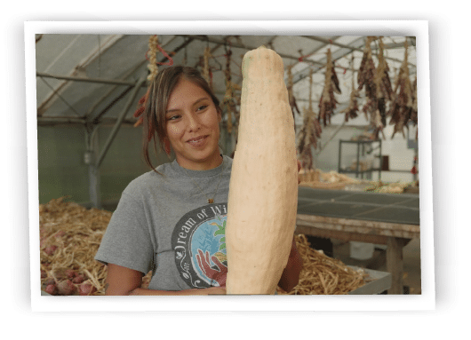 dream of wild health raises indigenous foods