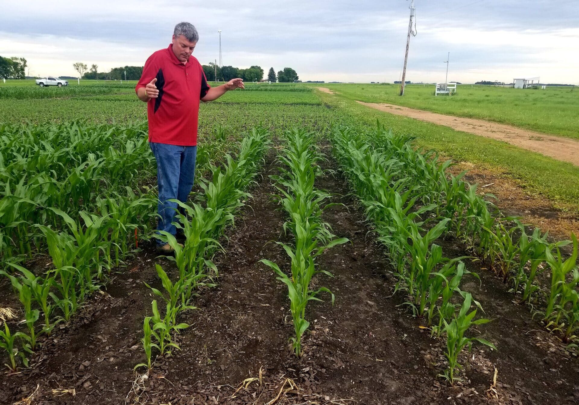 Brian in corn field