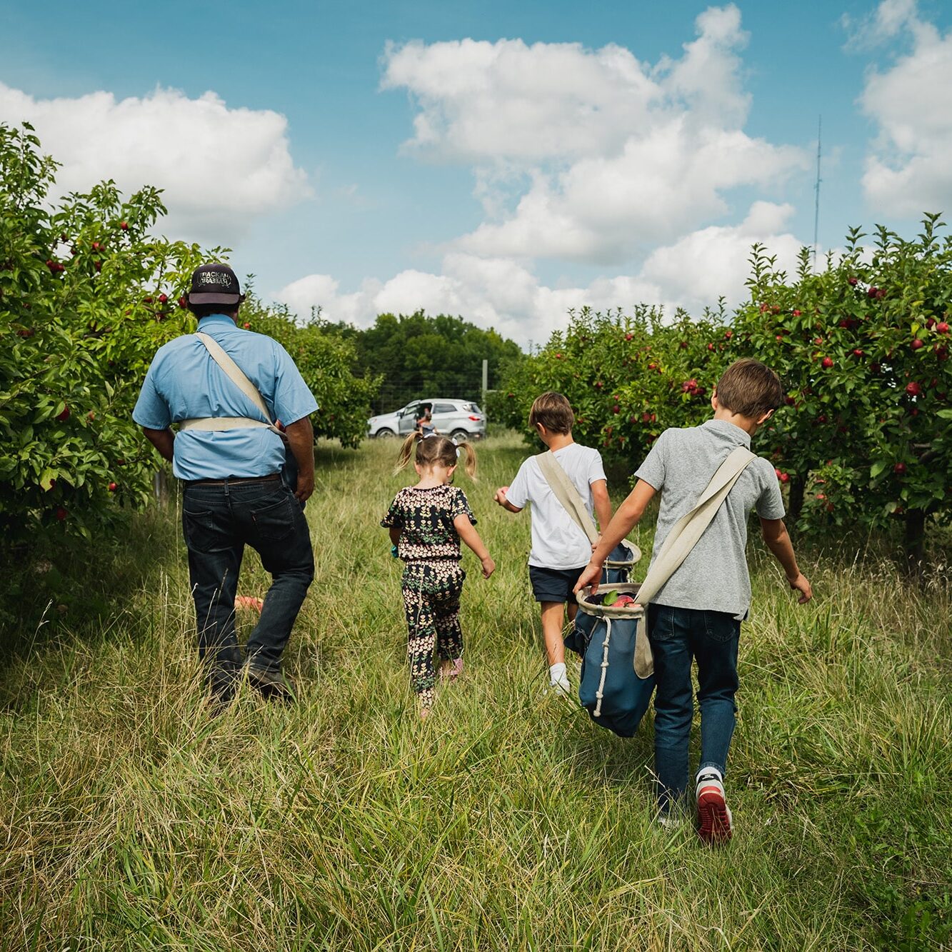 Family Picking Apples in Orchard