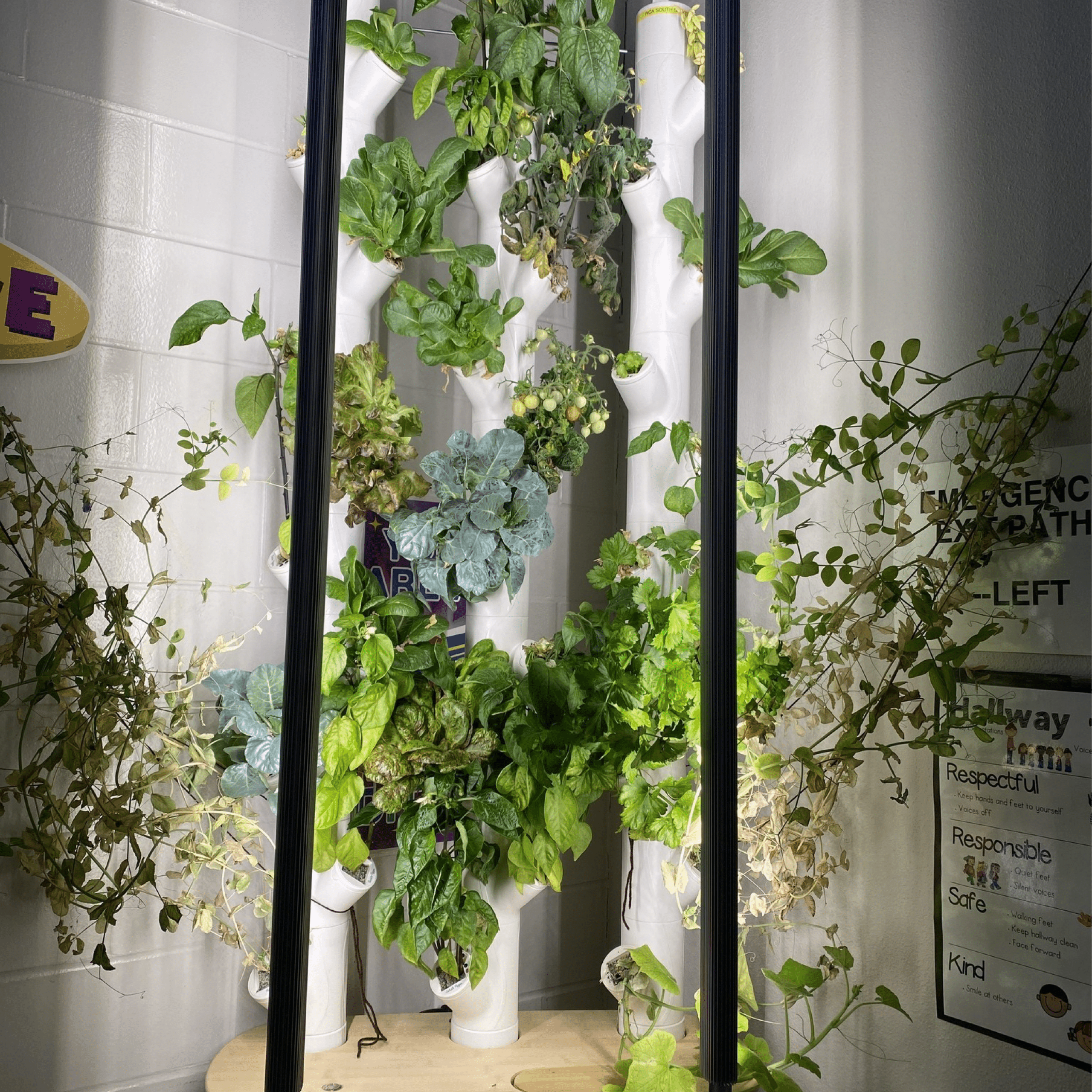 Grow Tower at West Central Area Schools