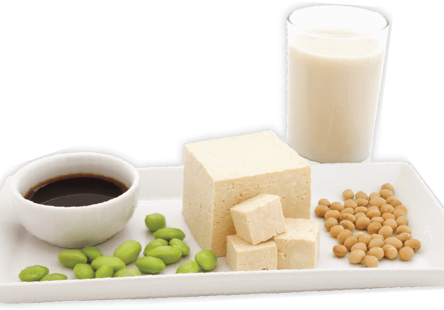 Plate of Milk, Beans, and Tofu