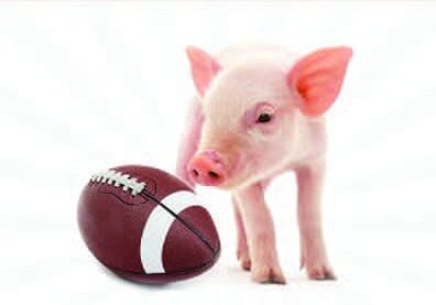 Pig Playing Football