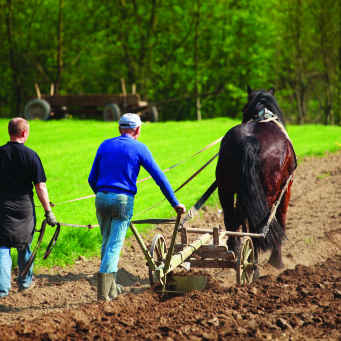 Farmers plowed land horse