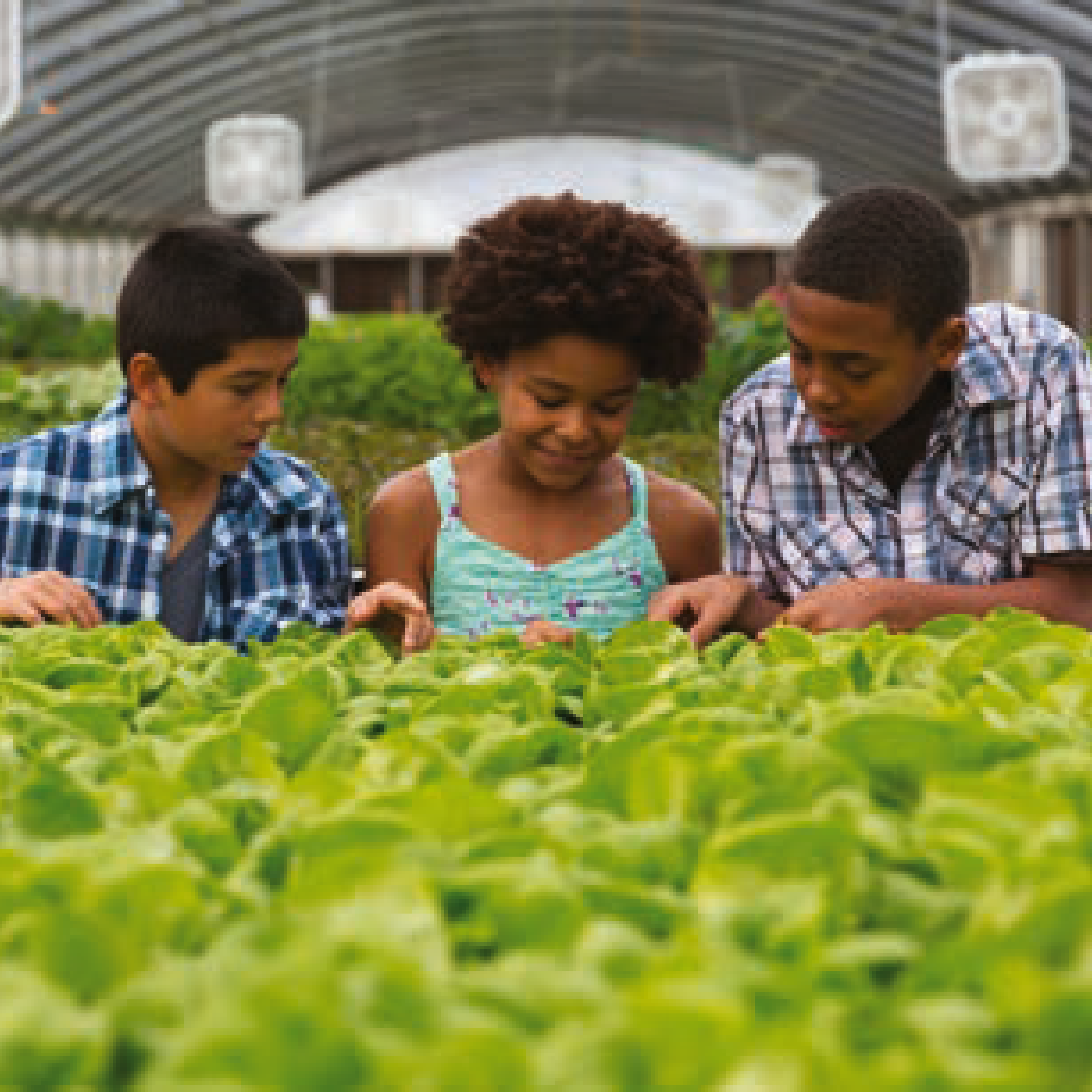 Students in Greenhouse